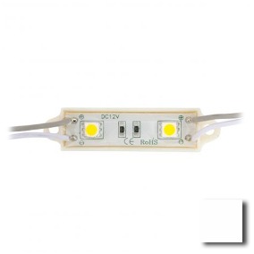MODULO DE 2 LED 5050 A PRUEBA DE AGUA ROJO